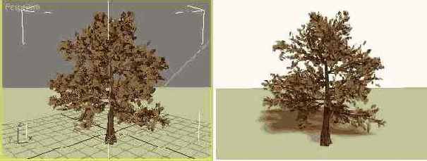   Generic Oak ( )       ()    ()