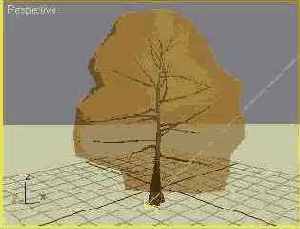   Generic Oak ( )         