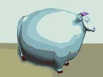    Spherify ()   , Percent () = 50%