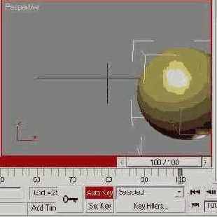     (  )