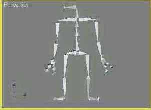    Bones ()    