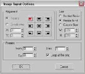   Image Input Options (  )