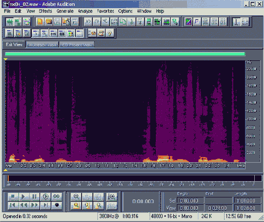    Adobe Audition 1.5
