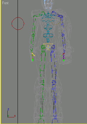     Biped 
