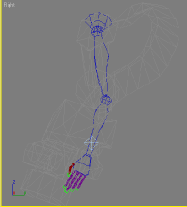    Biped 