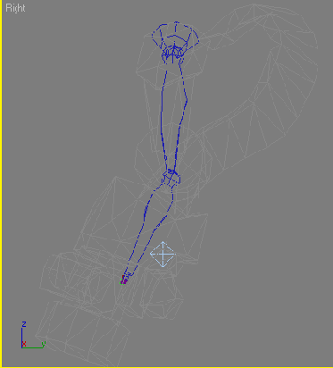     Biped 