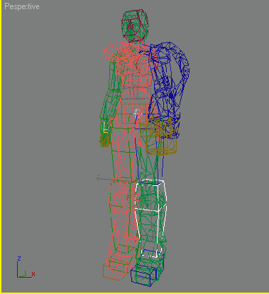     Biped 