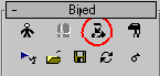   Motion Flow Editor   Biped
