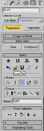  Load File ( )    Biped ()
